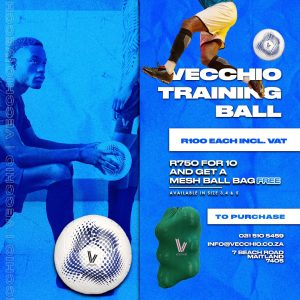 Vecchio Training Balls